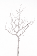 White Decorative Branch Pair