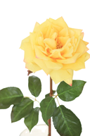 Faux Yellow Garden Rose
