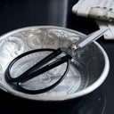 Black Scissors - The Irish Country Home