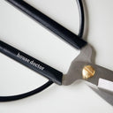 Black Scissors - The Irish Country Home