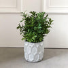 Mini Potted Plants - Set of 3 - The Irish Country Home