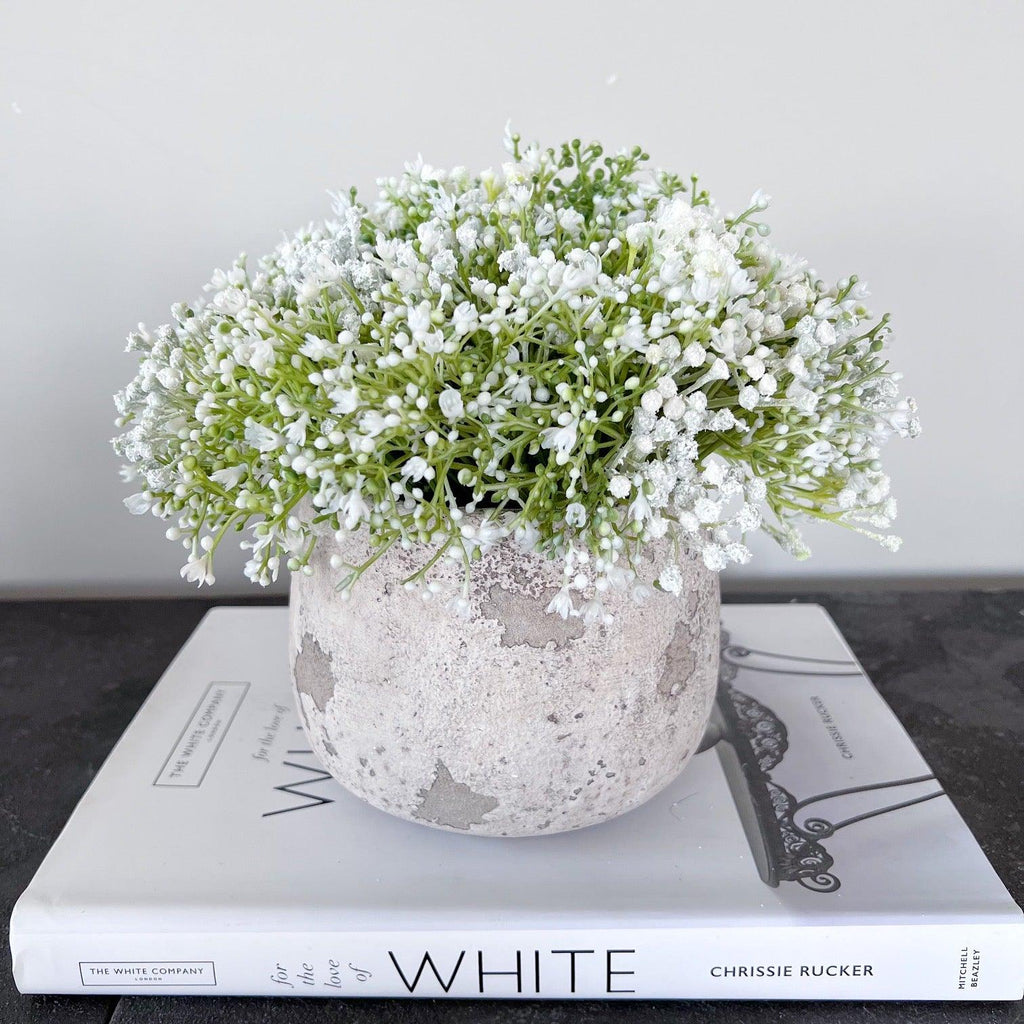 Baby's Breath in Rustic Cement Vase - The Irish Country Home