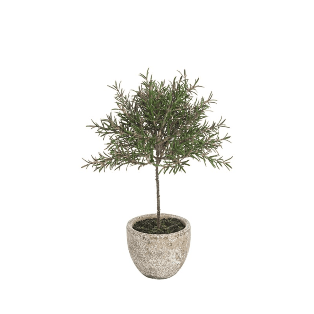 Faux Potted Rosemary Topiary - The Irish Country Home