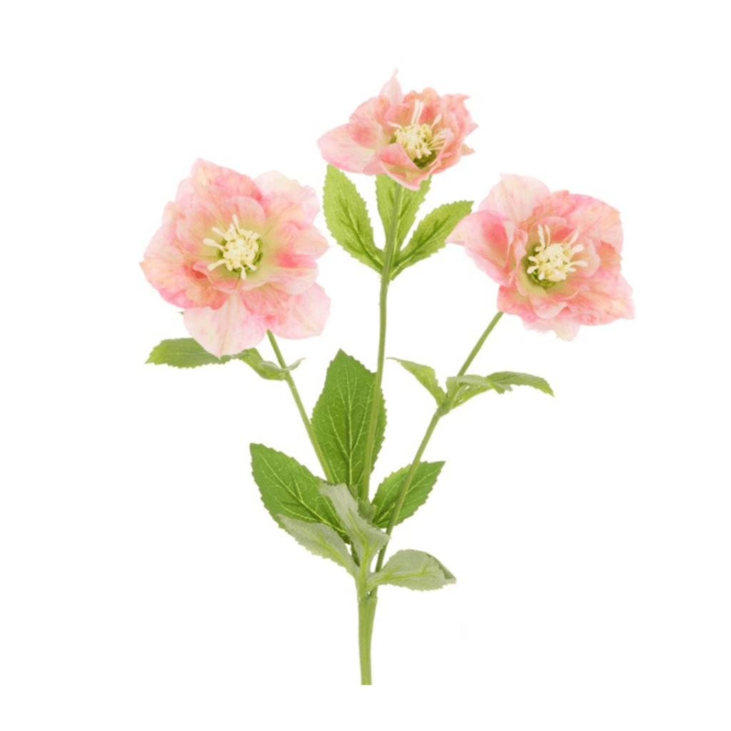Hellebore Spray Pink Green - The Irish Country Home