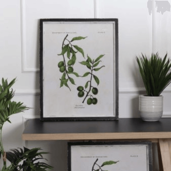 Framed Olive Branch Print - The Irish Country Home