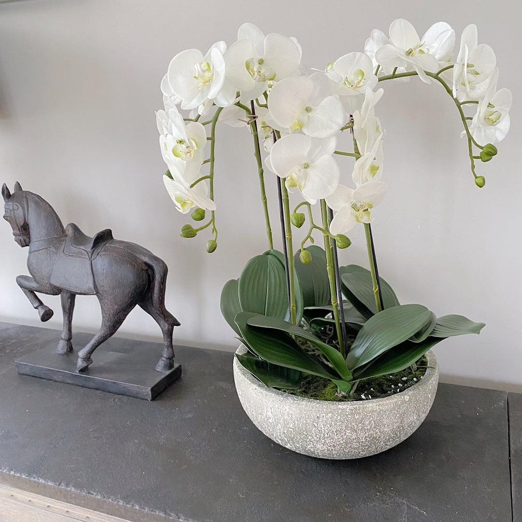 Large white Orchid in stone look pot - The Irish Country Home