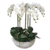 Large white Orchid in stone look pot - The Irish Country Home